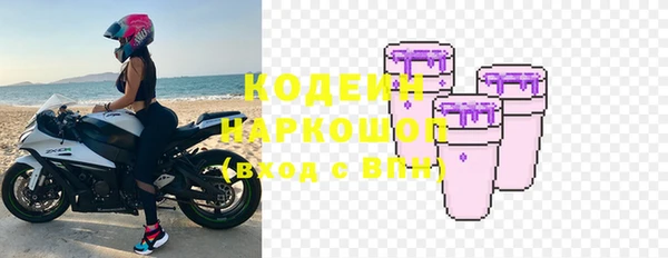 прущий лед Бородино