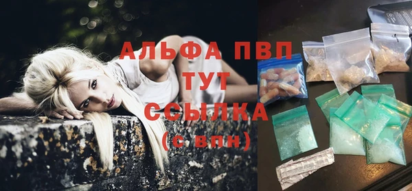 прущий лед Бородино