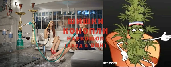 прущий лед Бородино