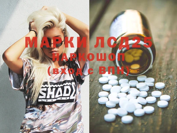 прущий лед Бородино