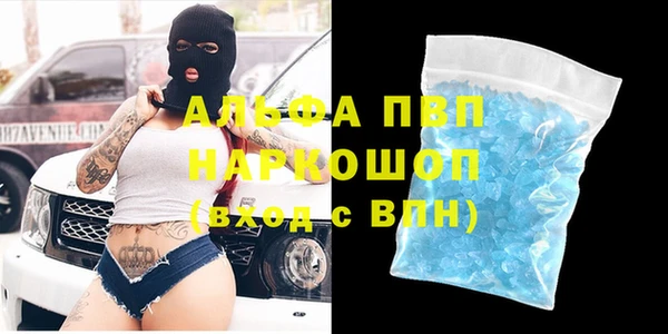 прущий лед Бородино