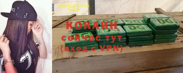 прущий лед Бородино