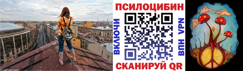 Псилоцибиновые грибы Psilocybe Купить Байкальск